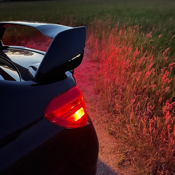 Meet your Posher, Jake - Picture 1 of 1